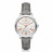 Наручные часы Michael Kors MK2479