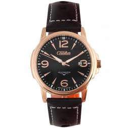 Слава 2393494/300-1612