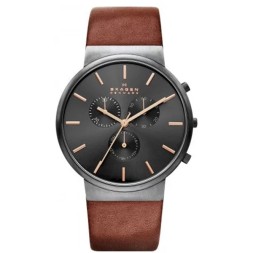 Skagen SKW6106