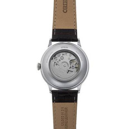 Orient RA-AK0702Y