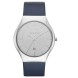Часы Skagen SKW6159