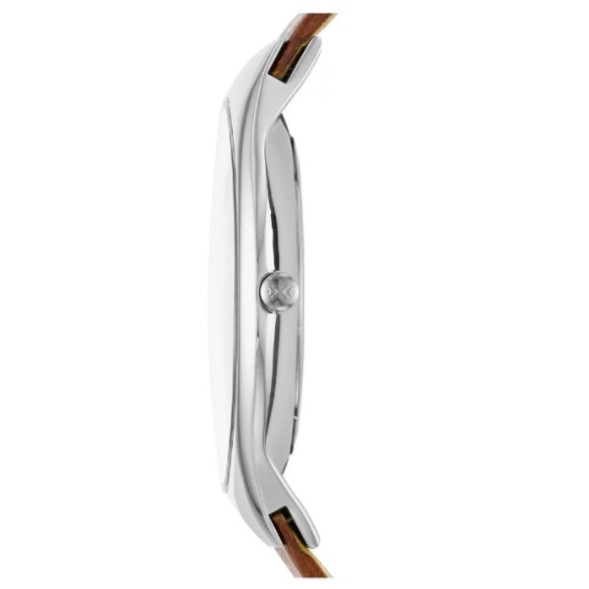 Часы Skagen SKW6160