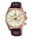 Часы Casio EFB-504JGL-7A