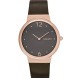 Часы Skagen SKW2368