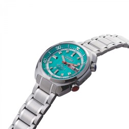 Слава 2430583/100-2427