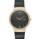 Часы Skagen SKW2370