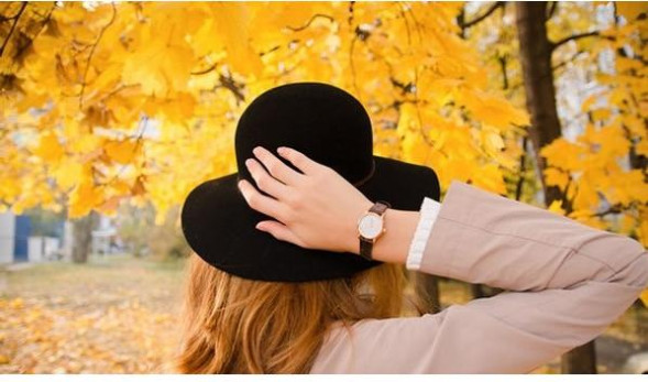 Часы Emporio Armani AR1813