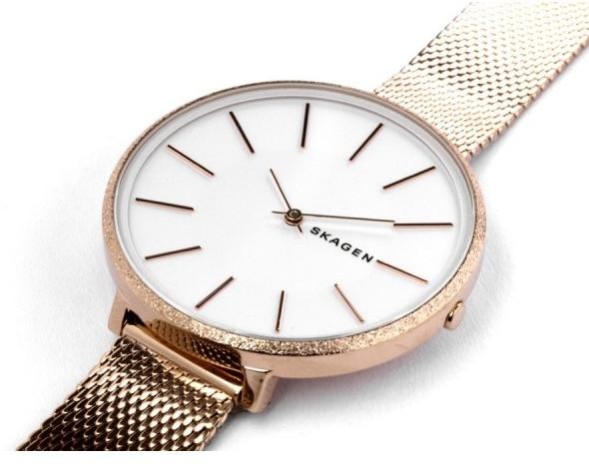 Часы Skagen SKW2726