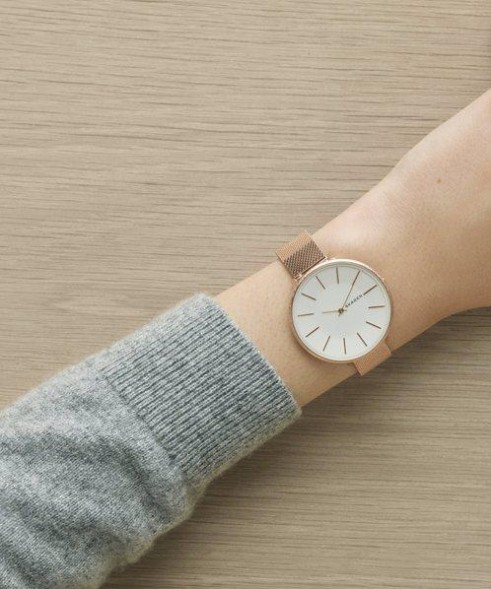 Часы Skagen SKW2726