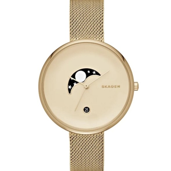 Часы Skagen SKW2373