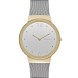Часы Skagen SKW2381