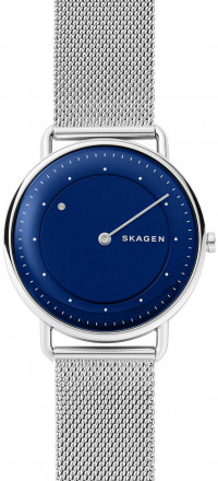 Наручные часы Skagen SKW6488