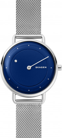 Наручные часы Skagen SKW2738