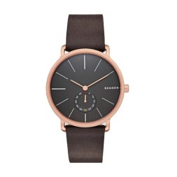 Skagen SKW6213