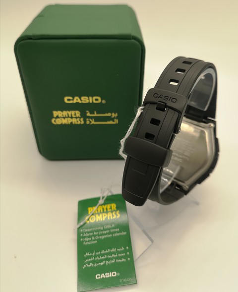 Часы Casio CPW-500H-1A