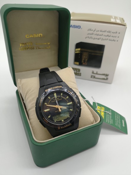 Часы Casio CPW-500H-1A