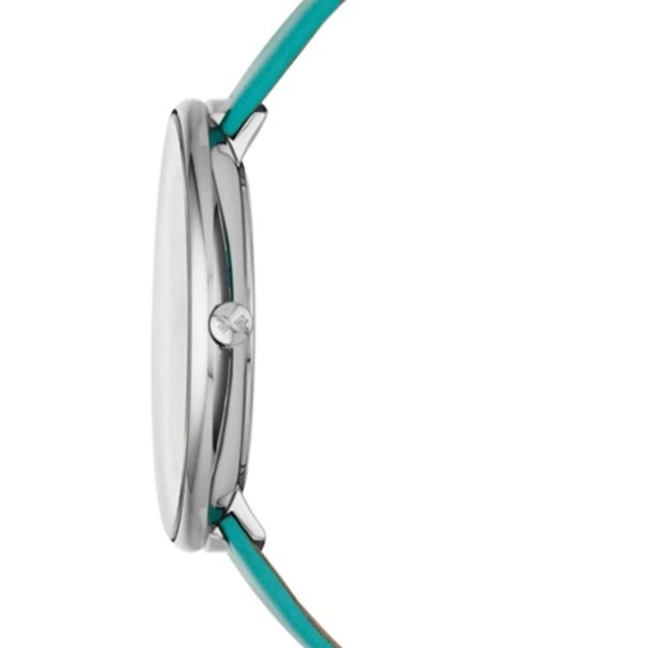 Часы Skagen SKW2134