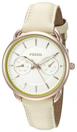 Наручные часы Fossil ES3954
