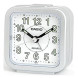 Casio TQ-141-8E