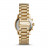 Наручные часы Michael Kors MK5916