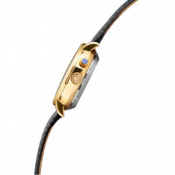 Слава 1229294/300-2427