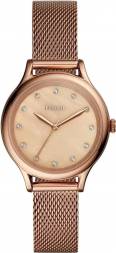 Fossil BQ3392