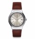 Часы Swatch SISTEM EARTH YIS400
