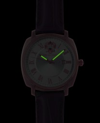 Президент 9119121