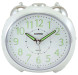 Casio TQ-369-7E