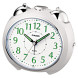 Casio TQ-369-7E