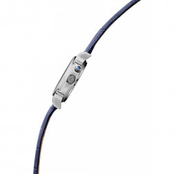 Слава 1231409/300-2428