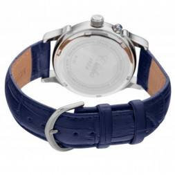 Слава 1231409/300-2428