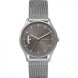 Часы Skagen SKW6396