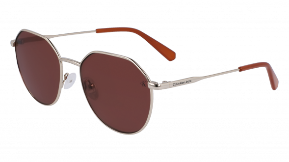 Часы CALVIN KLEIN CKJ23201S 717