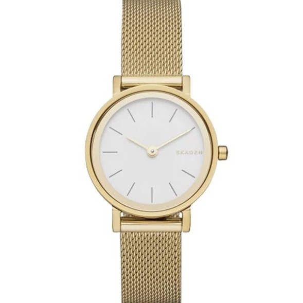 Часы Skagen SKW2443