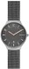 Часы Skagen SKW6460