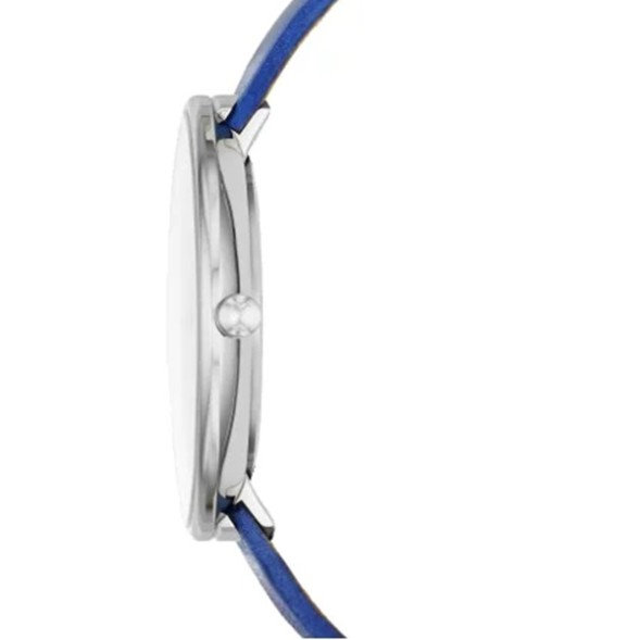 Часы Skagen SKW2172