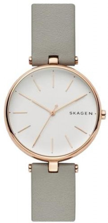 Наручные часы Skagen SKW2710