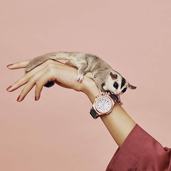 Часы Casio MSG-S500CG-1A