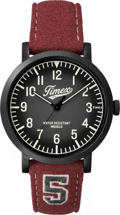 Наручные часы Timex TW2P83200
