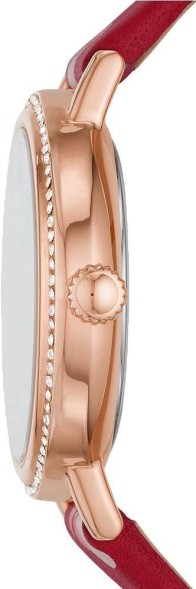 Часы Fossil BQ3698