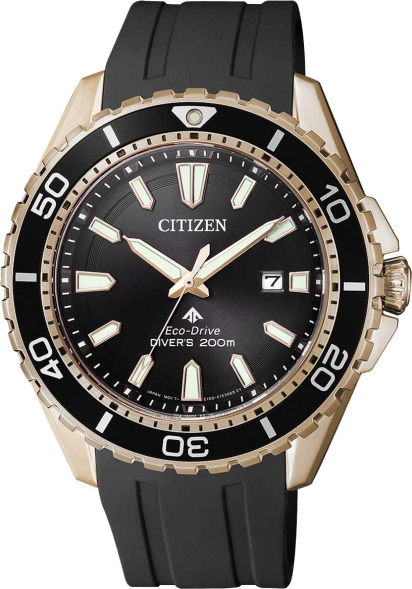Часы Citizen BN0193-17E