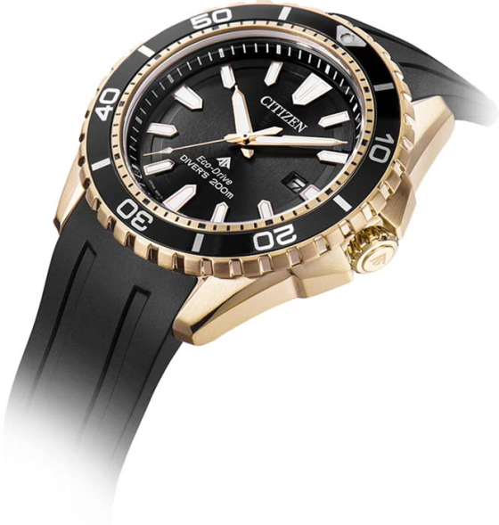 Часы Citizen BN0193-17E