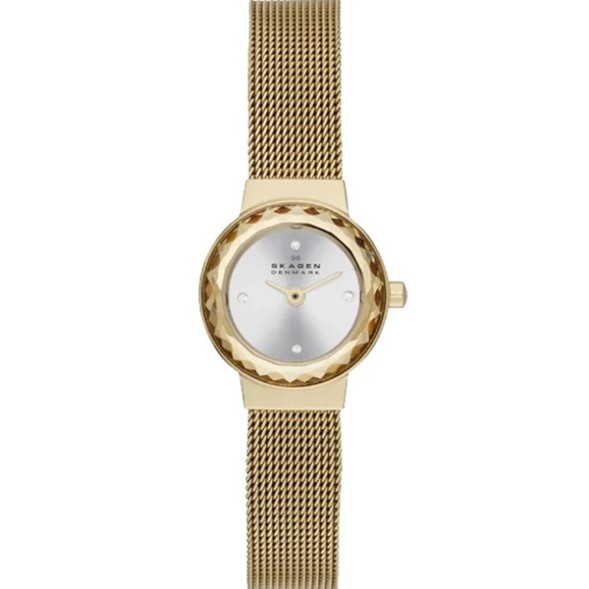 Часы Skagen SKW2186