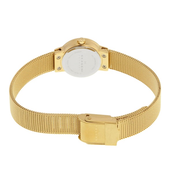 Часы Skagen SKW2186