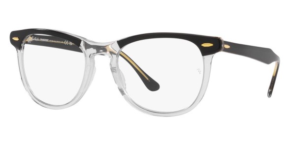 Ray Ban 0RB2398 BLACK ON TRANSPARENT