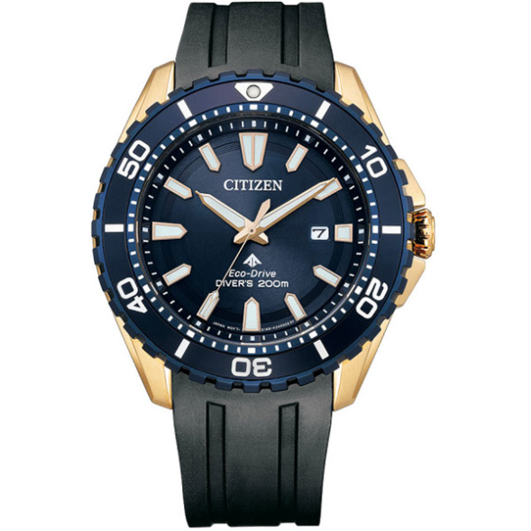 Часы Citizen BN0196-01L