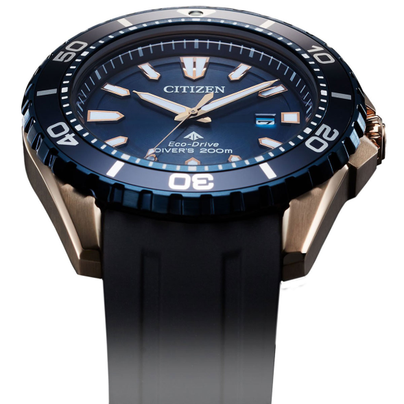 Часы Citizen BN0196-01L