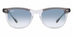 Ray Ban 0RB2398 GREY ON TRANSPARENT