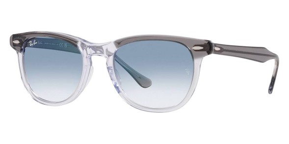 Ray Ban 0RB2398 GREY ON TRANSPARENT